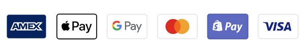 Logos of various payment methods including AMEX, Apple Pay, Google Pay, Mastercard, PayPal, and Visa on a white background.